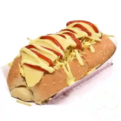 Perro Americano el Burgués