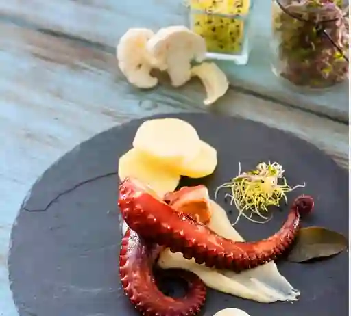 Plato Octopus