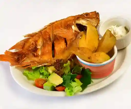 Mojarra en Salsa de Camarones