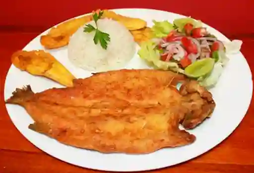 Trucha en Salsa de Camarones