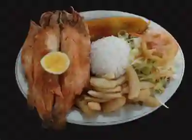 Bandeja con Trucha