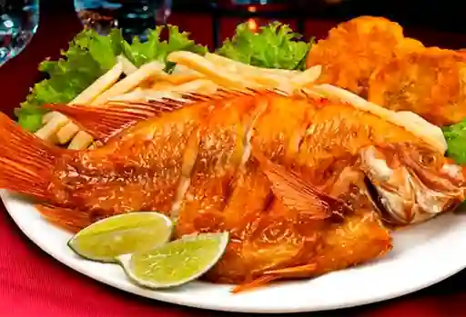 Mojarra Frita