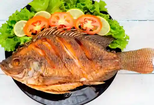 Mojarra Frita