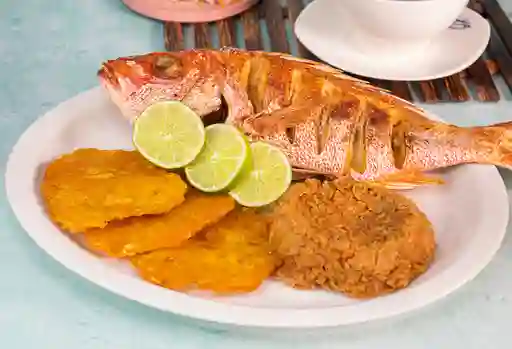 Pargo 900 Gr