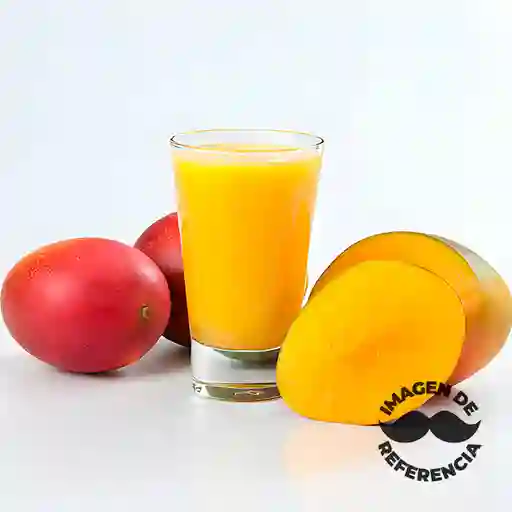 Jugo Natural Mango 300 ml