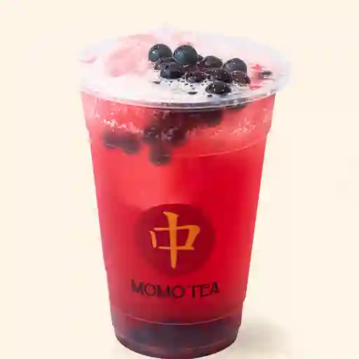 Soda Blueberry 16 Oz