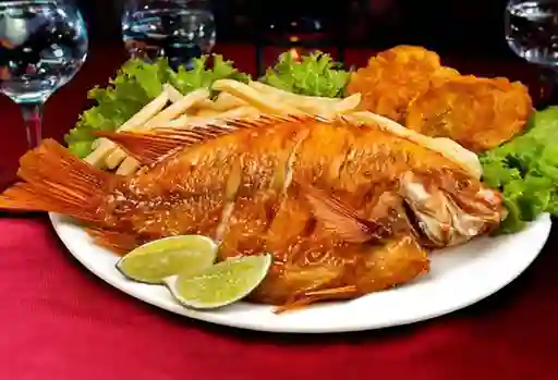 Mojarra Frita