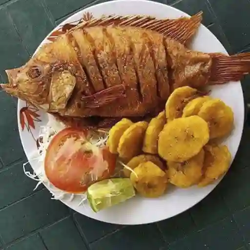 Mojarra Frita