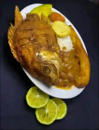 Tilapia