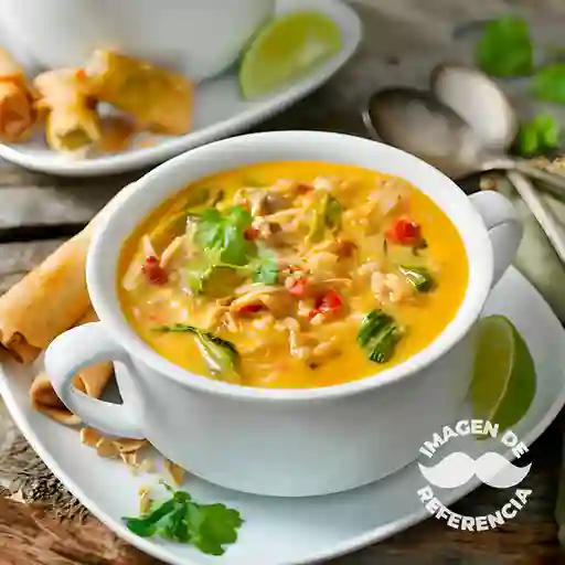 Sopa de Pollo y Verduras