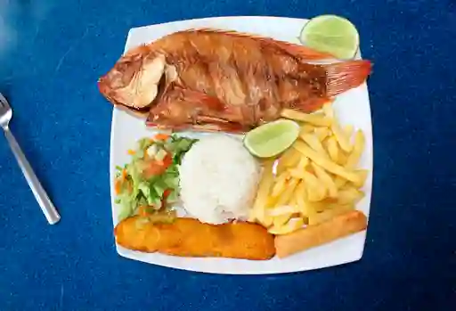 Mojarra