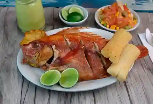 Mojarra Frita