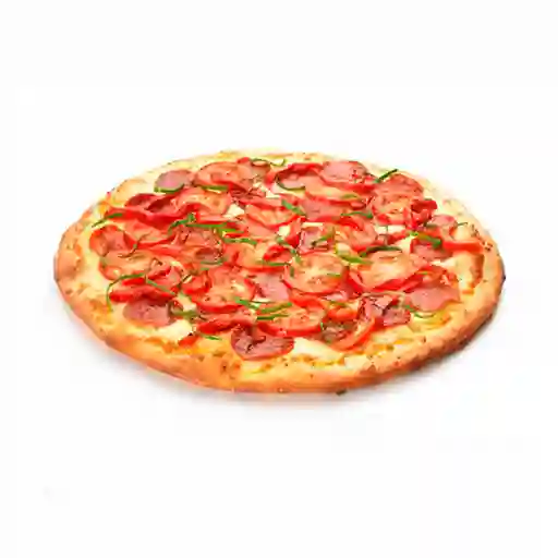 Pizza Mediana 6 Pz