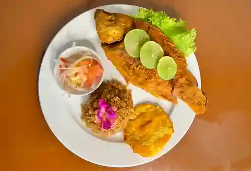 Tilapia