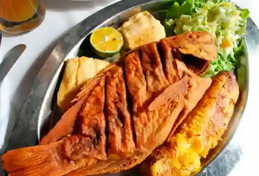 Mojarra Frita Pequeña