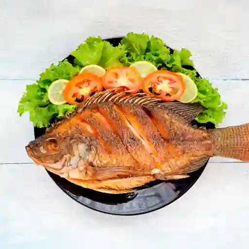 Mojarra