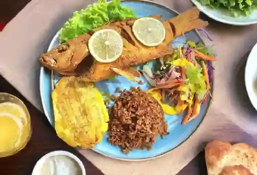 Tilapia Frita