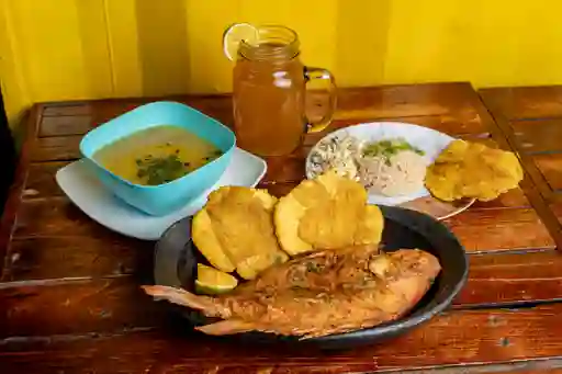 Tilapia Frita