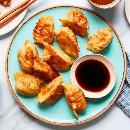 Crispy Chicken Dumplings