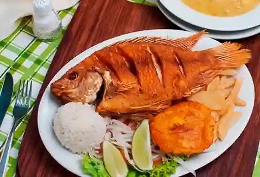 Mojarra Frita