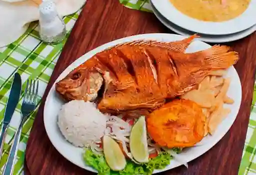 Combo Mojarra