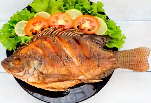 Mojarra Frita