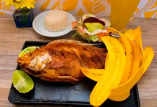 Mojarra Frita