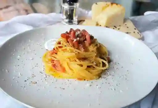 Bolognesa