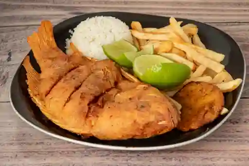 Mojarra