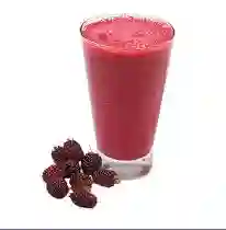 Jugo de Mora 9 Oz