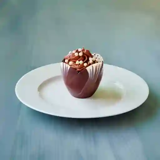 Tulipe de Chocolate