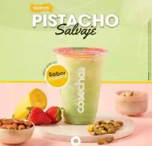 Pistacho Salvaje