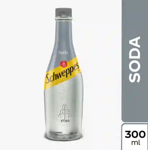 Schweppes 300 ml