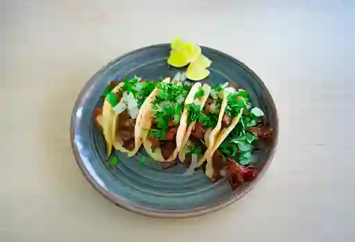 Tacos de Bistec