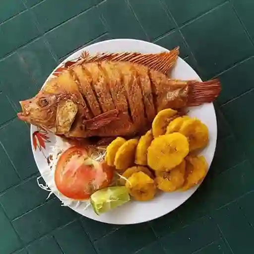 Mojarra Frita