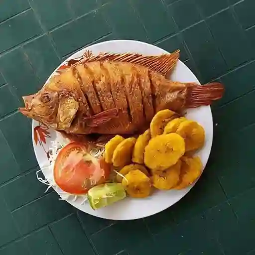 Mojarra