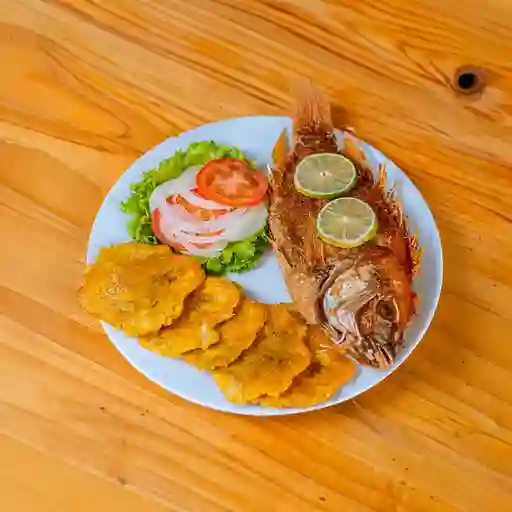 Mojarra Frita