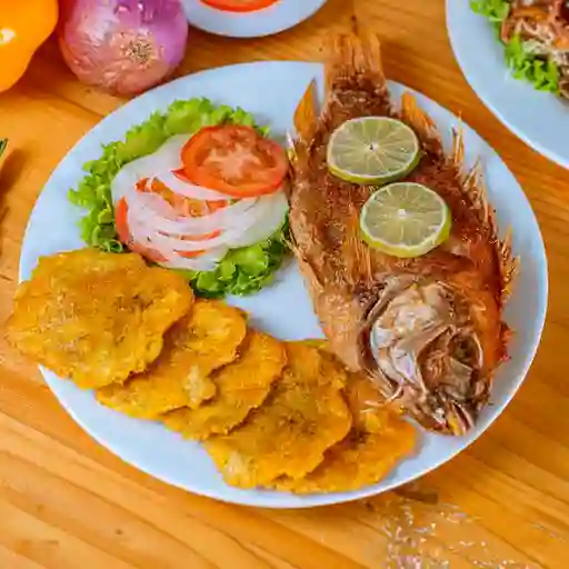 Mojarra Frita