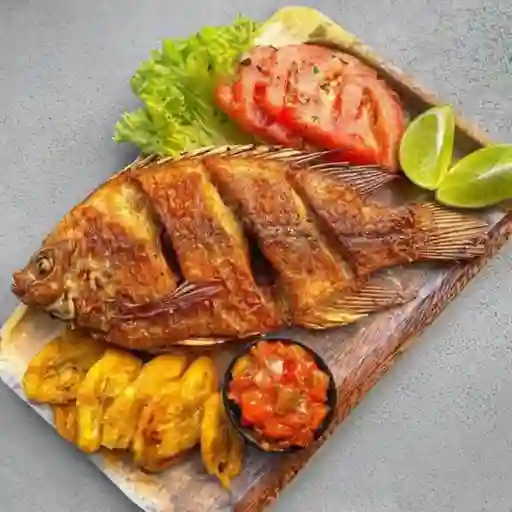 Tilapia