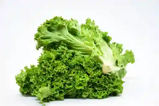 Lechuga Crespa