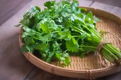 Cilantro