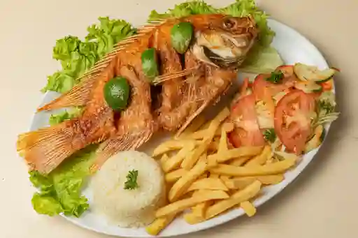 Mojarra Frita