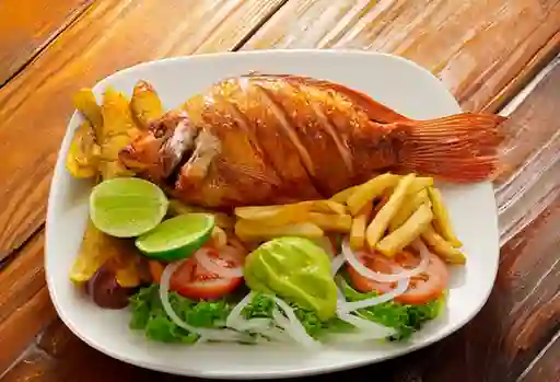 Mojarra Pequeña