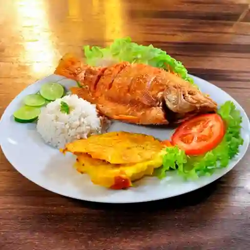 Mojarra