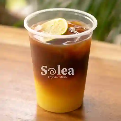 Solea Sol Vibrante 16 Oz