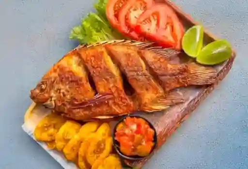 Mojarra Dorada