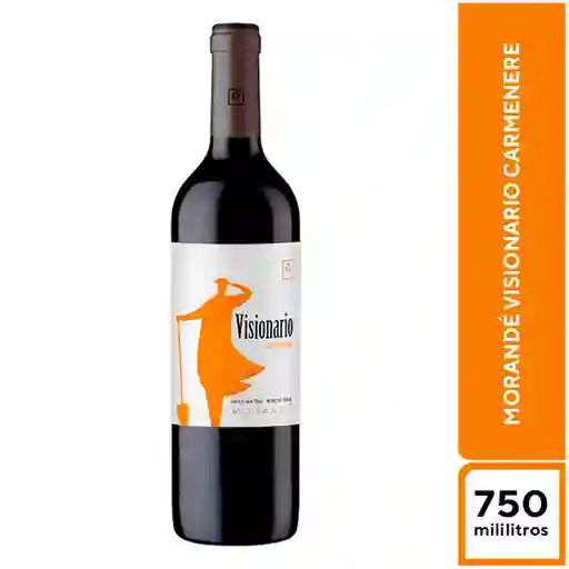 Morandé Visionario Carmenere 750 ml