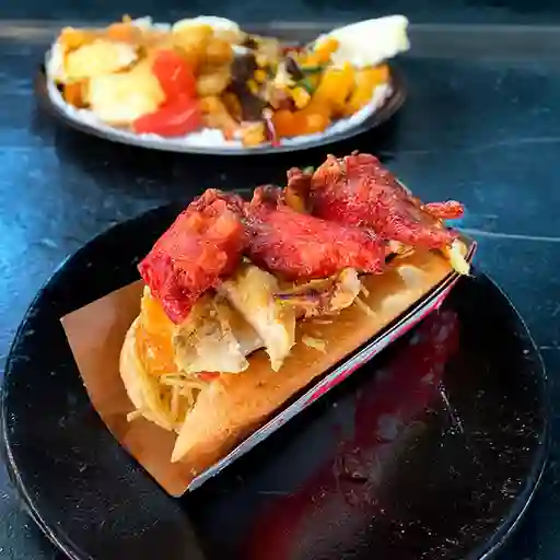 Perro Mixto