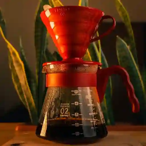 Café en V60 12 Oz