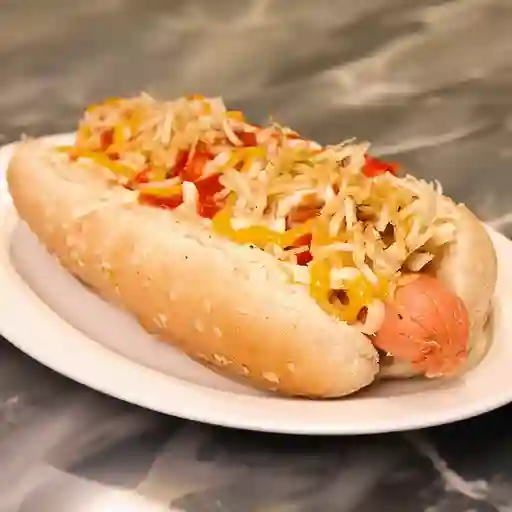 Perro Criollo